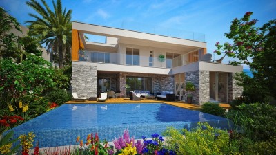 Luxury City Homes